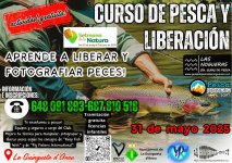 Curso liberación.jpg
