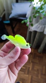 IMG_20221109_152344.jpg IMG_20221109_152344.jpg